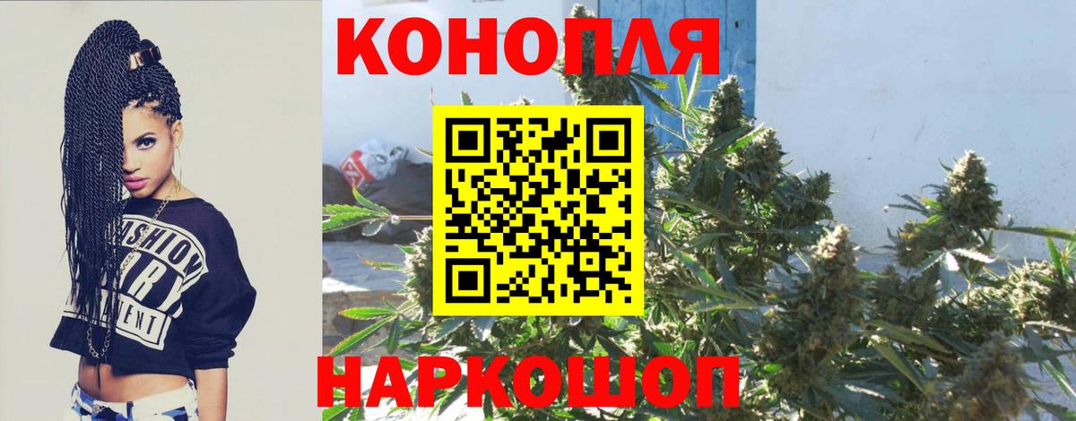 Каннабис OG Kush Междуреченск